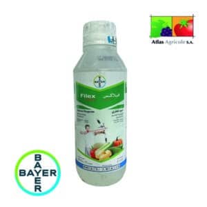 Filex Energy