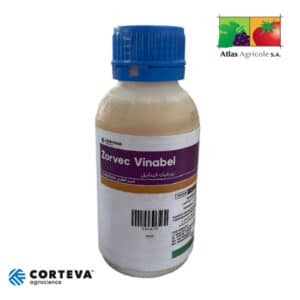 ZORVEC VINABEL SE